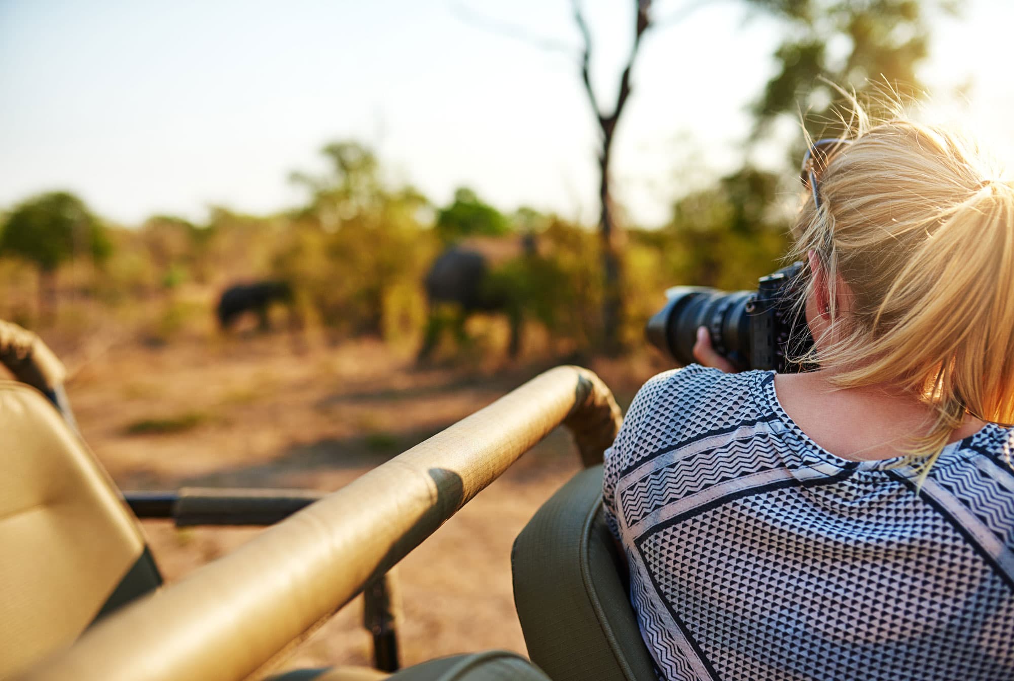 Open savanna at golden hour