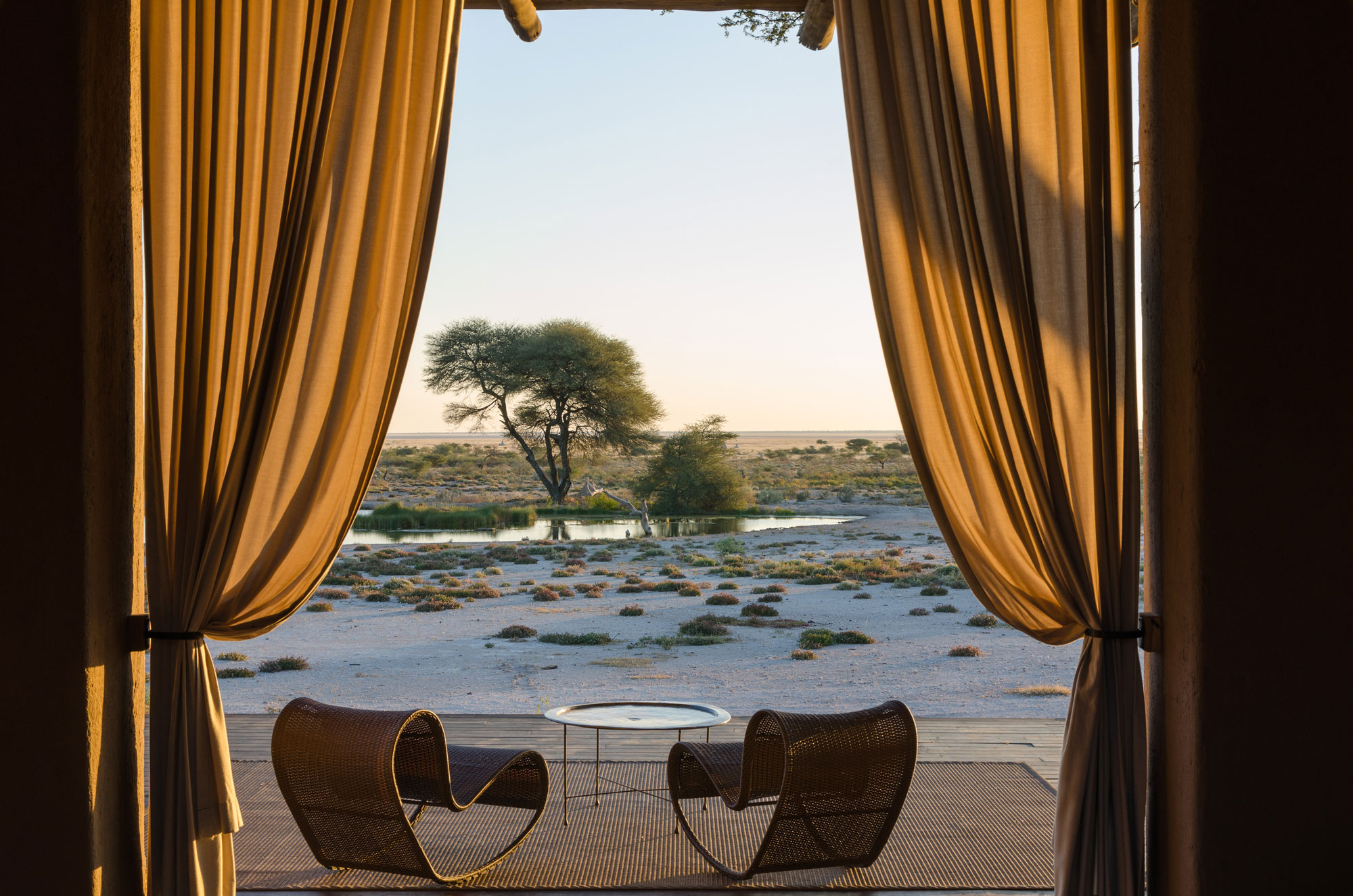 Luxury Safari